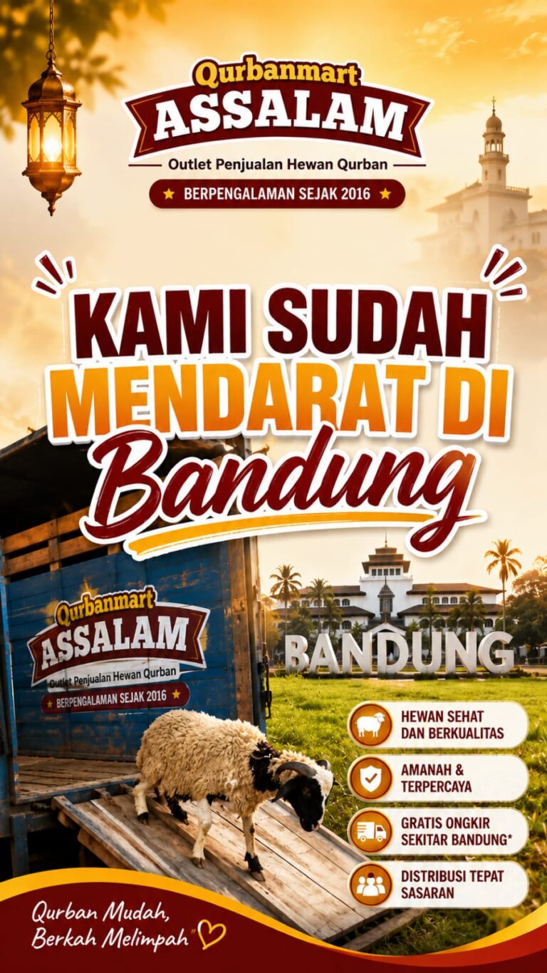 WhatsApp Image 2026-05-20 at 14.09.10